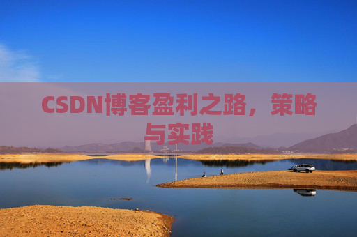 CSDN博客盈利之路，策略与实践